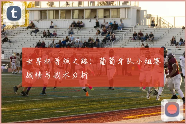 世界杯晋级之路：葡萄牙队小组赛战绩与战术分析