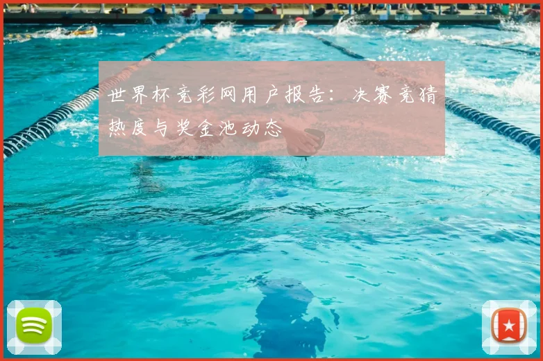 世界杯竞彩网用户报告：决赛竞猜热度与奖金池动态