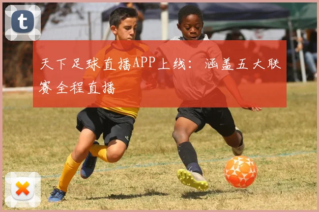 天下足球直播APP上线：涵盖五大联赛全程直播